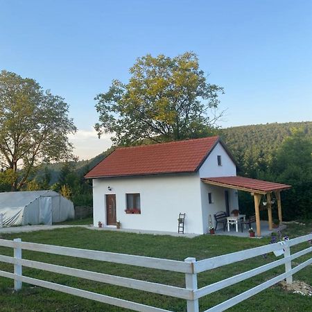 Bihać Hill House Emirヴィラ エクステリア 写真