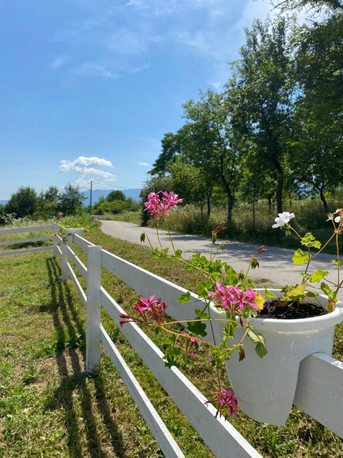 Bihać Hill House Emirヴィラ エクステリア 写真