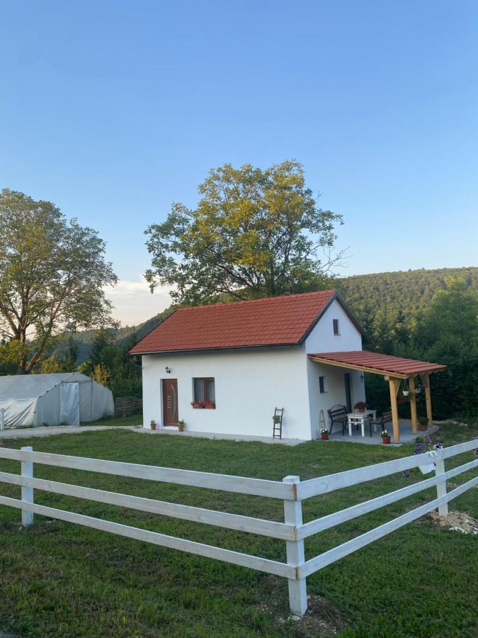 Bihać Hill House Emirヴィラ エクステリア 写真